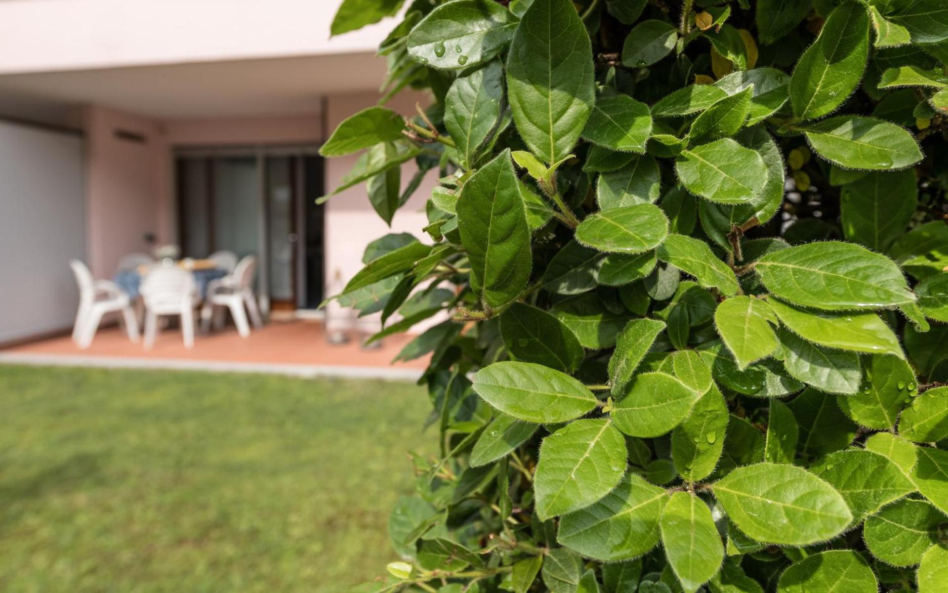 Apartment mit 1 Schlafzimmer und Garten (5 Erwachsene)